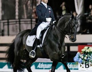 David Marcus and Chrevi's Capital at the 2013 CDI-W Wellington :: Photo © Sue Stickle