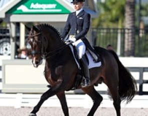 Lisa Wilcox and Pikko del Cerro at the 2013 CDI-W Wellington :: Photo © Sue Stickle