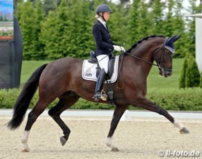Marion Loew and Danccini at the 2013 CDN Werder :: Photo © LL-foto