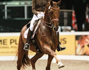 Heather Blitz and Paragon at the 2013 World Dressage Masters Palm Beach :: Photo © Sharon Packer