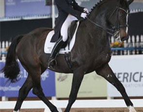 Mikala Gundersen and My Lady at the 2013 WDM Palm Beach :: Photo © Sue Stickle