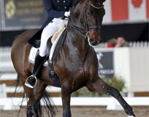 Silvia Rizzo and Donnerbube II at the 2013 CDI West Palm Beach :: Photo © Sue Stickle