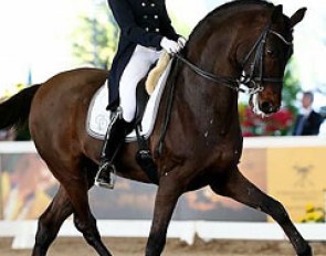 Silvia Rizzo and Donnerbube II at the 2013 CDI 5* World Dressage Masters in Palm Beach :: Photo © Sue Stickle