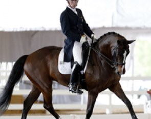George Williams and Cleopatra at the 2013 CDI West Palm Beach :: Photo © Sue Stickle