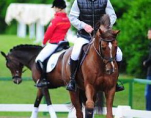 Show jumper Ludger Beerbaum training with the dressage riders