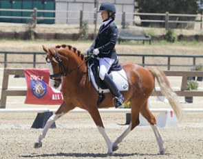 Melissa Mulchahey on Westfalian Riding Pony Outrageous (by Out-Break x Sir Donnerhall) at the 2013 CDN Woodside :: Photo © K.C.
