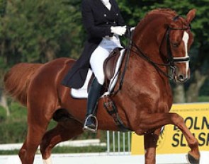 Ilona Janas on Quest, who is simultaneously campaigned by Polish junior rider Jan Gawecki