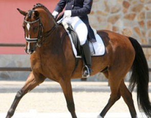 Angela Sklavounos and Quanderas at the 2013 Balkan Dressage Championships