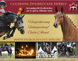 2013 Zweibrucken Stallion Licensing