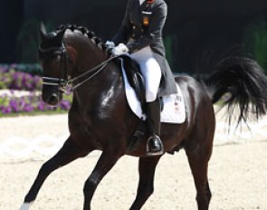 Morgan Barbançon and Painted Black produced a seasonal best score in Aachen of  73.260%. After injuring himself in 2012, Painted Black has struggled to find form and fitness but was totally back in Aachen!