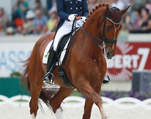 Adelinde Cornelissen on Parzival