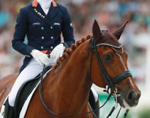 Adelinde Cornelissen on Parzival