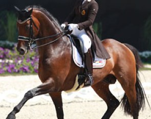 Julie de Deken and Lucky Dance at the 2014 CDIO Aachen :: Photo © Astrid Appels