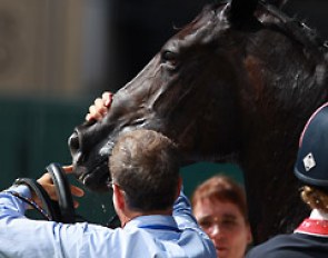 During the bit check, Her Highness' entire bridle came off when they took off the fly cap. She   quietly stood still while being tacked again.