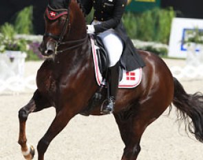 Anna Kasprzak and Donnperignon finished seventh with 76.620%. The Finnish warmblood missed part of the show season because of an eye operation but successfully returned to the ring