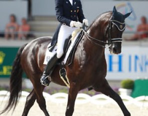 Juan Matute Guimon on Don Diego