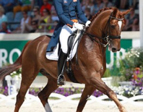 Hans Peter Minderhoud on his latest Grand Prix horse, the talented Swiss bred Flirt de Lully