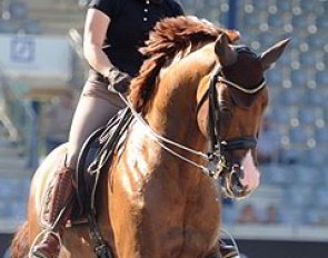 German Under 25 rider Charlott Maria Schurmann on Burlington