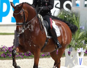 Italian Valentina Truppa on Eremo del Castegno (by Rohdiamant) landed 8th place with 75.080%