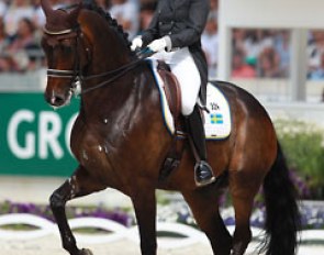Tinne Vilhelmson on Don Auriello