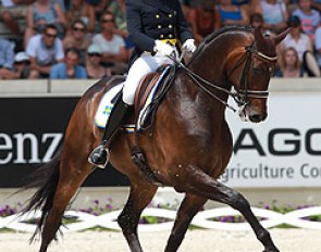 Tinne Vilhelmson and Don Auriello came very close to that 80% barrier. With the many extended trots at the beginning of the Special, Vilhelmson could spark better activity in Don Auriello's hind legs for the passage