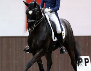 Victoria Appleyard and Sir Willy at the 2014 CDI Addington :: Photo © Risto Aaltonen