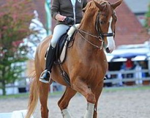 Isabell Werth brought Bella Rose for some schooling in Balve