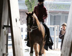Lia Garzoni and Calypso van het Goorhof entering the indoor arena