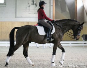 Tamara Lucia Roos and Amaretto XII work on the walk
