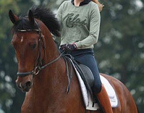 Lisanne der Nederlanden on the 6-year old Dion Johnson, bred by Claartje van Andel