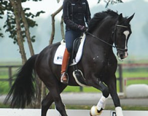 Lisanne der Nederlanden on Go Legend (by Totilas x Ferro)