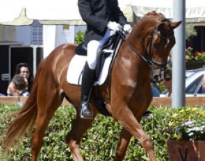 Alejandro Azores on Quater Back Junior