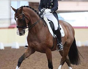 Judy Reynolds and Zigal at the 2014 Irish Dressage Championships in Cavan :: Photo © Prime Photography