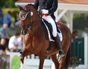 Gareth Hughes and Stenkjers Nadonna at the 2014 CDI Compiegne :: Photo © Astrid Appels