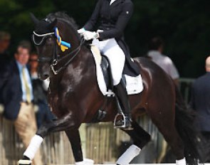 Denise Nekeman and Boston doing a lap of honour at the 2014 CDI Compiegne :: Photo © Astrid Appels