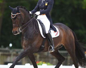 Jeanine Nekeman and Vlingh at the 2014 CDI Compiegne :: Photo © Astrid Appels