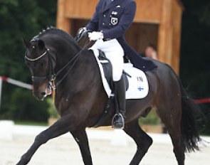 Julius von Staff-Reitzenstein on Stepdancer