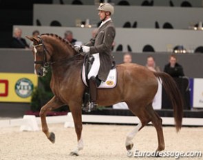 Patrick van der Meer and Zippo at the 2014 CDI-W 's Hertogenbosch :: Photo © Astrid Appels