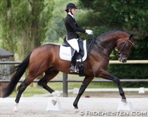 Atterupgaards Seebach (by Sandro Hit x Caprimond) :: Photo © Ridehesten