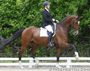 Sarah Thomsen and Dream Time competing in Denmark in 2014 :: Photo © Ridehesten
