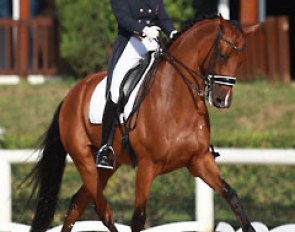 Belgian Alexa Fairchild took revenge after missing out on a good ride in the team test (due to a judges' logistics error). She scored 72.342 % to finish eighth with a 76.184 % (2nd place) from judge Isobel Wessels