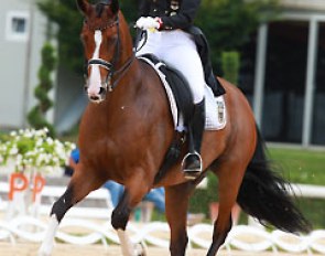 Lisa Maria Klossinger rides a one handed extended trot on Daktari in her freestyle
