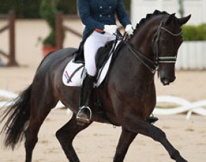 Stephanie Kooijman and Winston at the 2014 European Young Riders Championships in Arezzo, Italy :: Photo © Astrid Appels