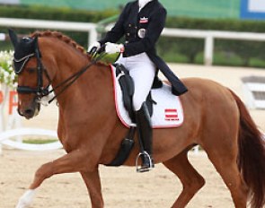 Lea Elisabeth Pointinger on Gino