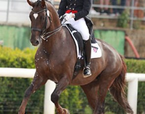 Erin Williams and Fleurie at the 2014 European Junior Riders Championships in Arezzo :: Photo © Astrid Appels