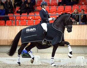 Vai Bruntink and All At Once at the 2014 KWPN Stallion Competition in Ermelo :: Photo © Focussed.nl