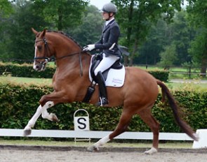 Theo Hanzon and Eddieni at the Dutch WCYH selection and observation trial in Ermelo