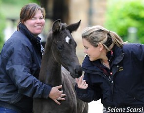 Head of foaling Sarah Cookson and Emma with ET filly Tia Nova (by Negro x Donnerhall x Rubinstein)