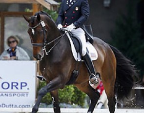 Steffen Peters and Legolas at the 2014 U.S. Dressage Championships :: Photo © Sue Stickle