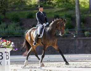 Steffen Peters and Legolas at the 2014 U.S. Dressage Championships :: Photo © Sue Stickle